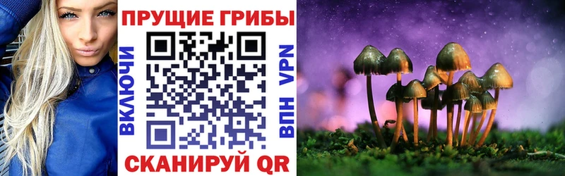 Псилоцибиновые грибы Magic Shrooms  Чишмы 